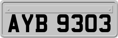 AYB9303