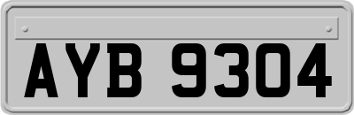 AYB9304