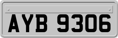 AYB9306