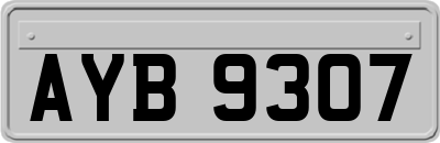 AYB9307