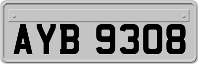 AYB9308