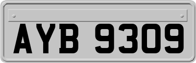 AYB9309