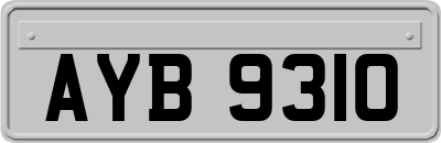 AYB9310