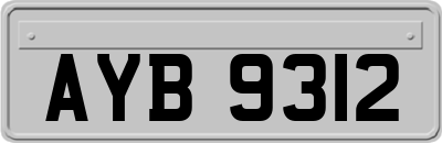 AYB9312