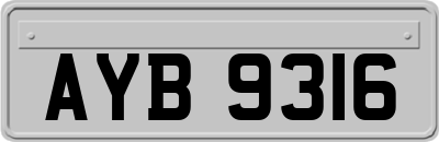 AYB9316