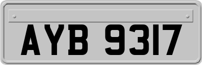 AYB9317