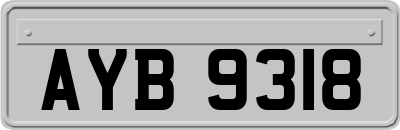 AYB9318