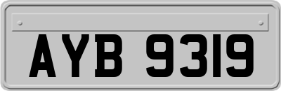 AYB9319