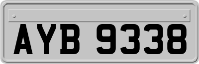 AYB9338