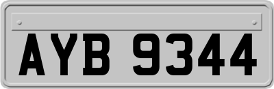 AYB9344