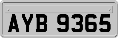 AYB9365
