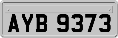 AYB9373