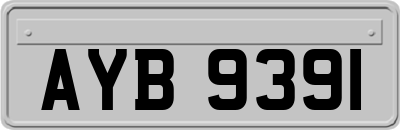 AYB9391