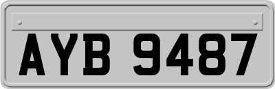 AYB9487