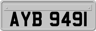 AYB9491