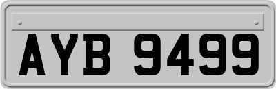AYB9499
