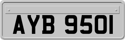 AYB9501