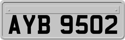AYB9502