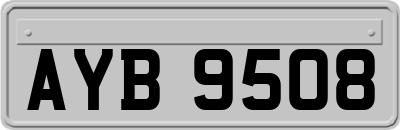 AYB9508