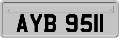 AYB9511