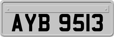AYB9513