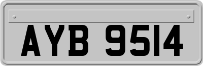 AYB9514