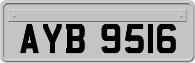 AYB9516