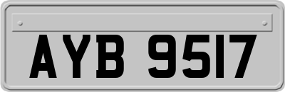 AYB9517