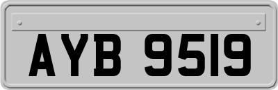 AYB9519
