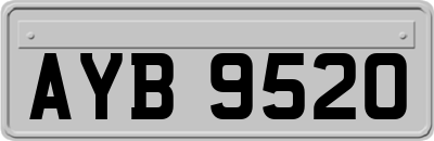 AYB9520