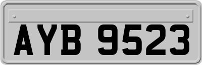 AYB9523