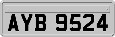 AYB9524
