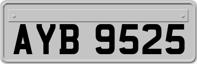 AYB9525