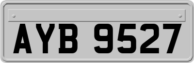 AYB9527