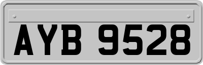AYB9528