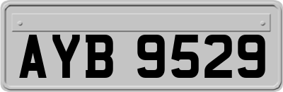 AYB9529