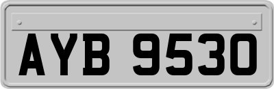 AYB9530