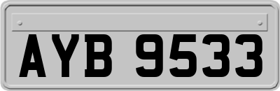 AYB9533