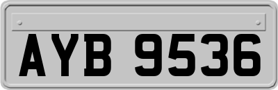 AYB9536