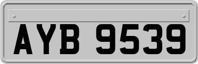 AYB9539