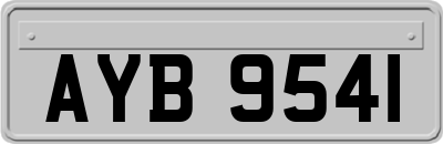 AYB9541