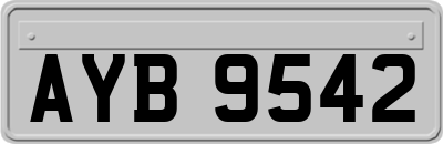AYB9542