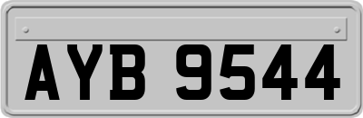 AYB9544