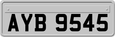 AYB9545
