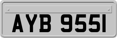 AYB9551