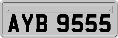 AYB9555