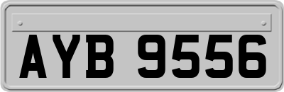 AYB9556