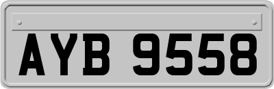 AYB9558