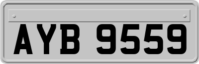AYB9559