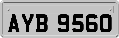 AYB9560